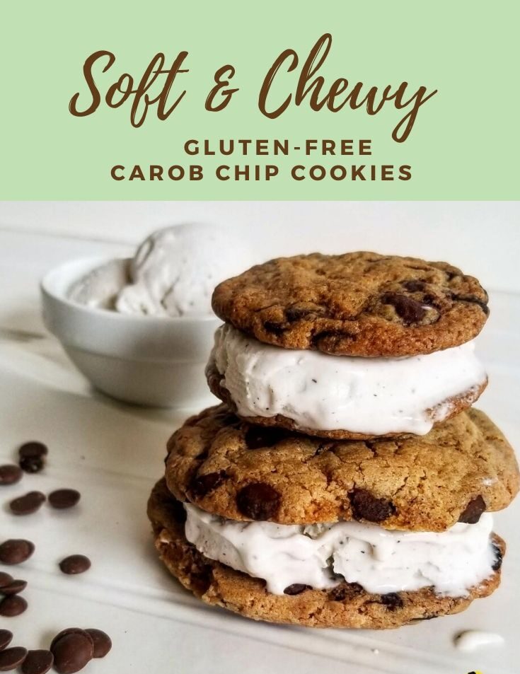 Soft Baked Chocolate Chip Cookies, Gluten-free, Allergy-Friendly